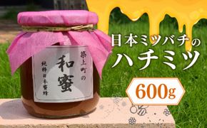 【福岡県築上町産】上村さん家の はちみつ 「 築上町の 和蜜 」600g《築上町》【上村　忍】[ABBX002]