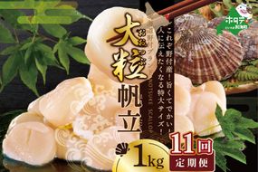 【毎月11回定期便】★NET【新物】北海道野付産冷凍ホタテ貝柱大粒（2Sサイズ）ホタテ1ｋｇ【NKM11NET1】