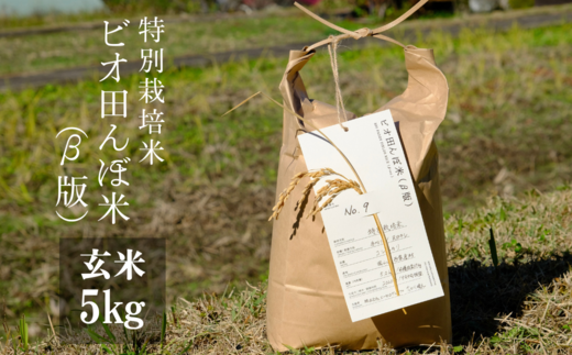 【特別栽培米】R5年産 ビオ田んぼ米(β版) コシヒカリ 玄米5kg_A-ab-ACZA