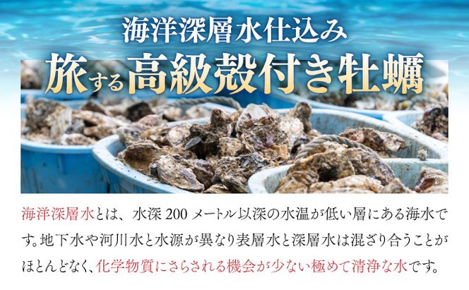 牡蠣 【国産】殻付き 牡蠣 旅する牡蠣 プレミアムオイスター 室津 12～15個入り 室戸海洋深層水 生食用 生食 生ガキ 生食用カキ カキ 牡蠣 かき 魚貝類 冷蔵 先行予約 送料無料　ak004