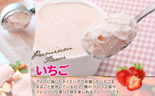 2343. 無地熨斗 くりーむ童話 カップアイス いちご 100ml×6個 アイスクリーム イチゴ 苺 アイス スイーツ ミルク 贈り物 ギフト プレゼント 詰め合わせ 送料無料 北海道 弟子屈町