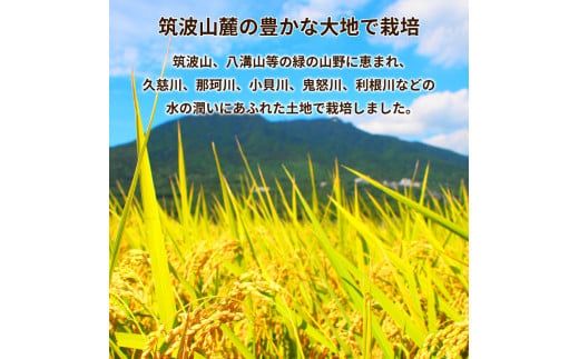 令和7年産茨城県産コシヒカリ・あきたこまち　精米　お米詰合せ　合計10kg (5kg×2袋) ※離島への配送不可 ※2025年9月下旬～2026年7月下旬頃に順次発送予定