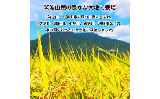 【新米】令和6年産茨城県産コシヒカリ・あきたこまち　精米　お米詰合せ　合計10kg (5kg×2袋) ※離島への配送不可