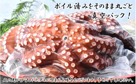 船上活き締め！ゆでたこ丸ごと約1kg（約1～４杯）_1812R