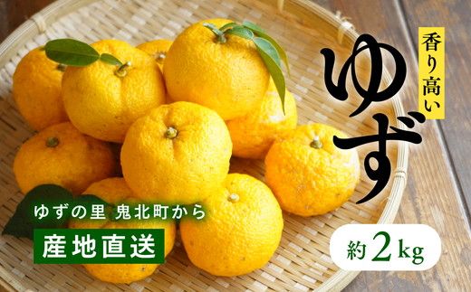 愛媛県鬼北町産ゆず 約2kg[ 果物 柑橘 国産 日本産 香りが強い 良質なゆず ゆずの里 産地直送 ゆずジャム ゆず茶 ]※2024年10月中旬〜11月下旬頃に順次発送予定