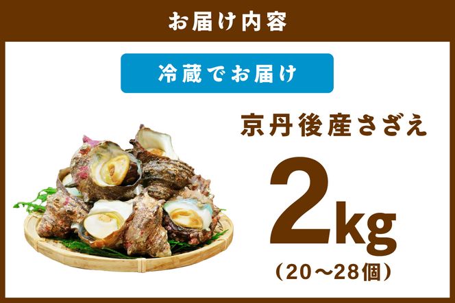 最高鮮度の生きたまま発送！日本海荒波育ち京丹後産さざえ2kg/北畿水産　HK00157