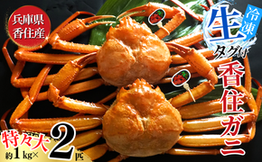 【活〆タグ付き香住ガニ 特々大 約1.0kg×2匹（合計約2.0kg以上）生冷凍】【先行予約】令和8年2月中旬以降順次発送　ふるさと納税 おすすめ 兵庫県 香美町 香住 日本海フーズ 07-114