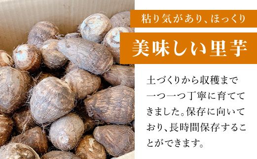 土づくりからこだわったほくほく里芋【５kg】  ANAR003