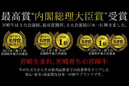 ＜宮崎牛ロースステーキ100g×2枚＞3か月以内に順次出荷【c531_tf_x2】