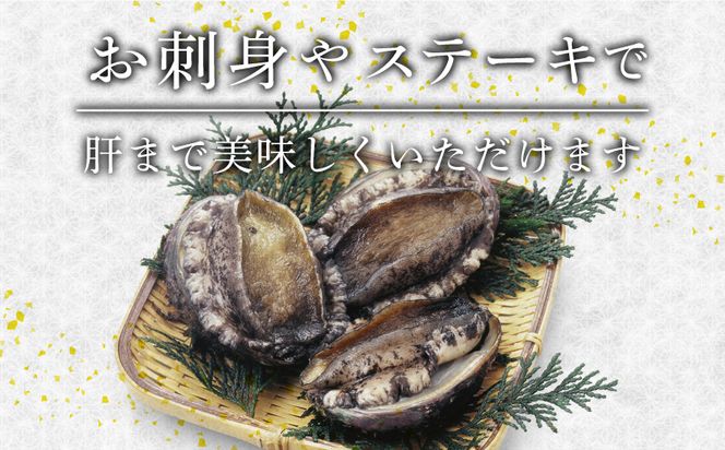 蝦夷あわび 約1kg 冷凍 鮑 あわび アワビ 鮑 Abalone ステーキ  バターソテー 正月 お正月 おせち 刺し身 刺身 バーベキュー BBQ ごはん 夕飯 おかず おつまみ 晩酌 米 丼 海産物 海鮮 魚介 魚介類 贈答品 お中元 お歳暮 大船渡 三陸 岩手県 国産　[56500427_1]