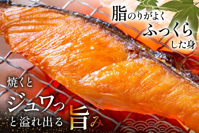 訳あり 銀鮭 切身 約2kg 鮭 海鮮 規格外 不揃い さけ サケ 鮭切身 シャケ 切り身 冷凍 家庭用 訳アリ おかず 弁当 支援 サーモン 銀鮭切り身 魚 わけあり[宮城東洋 宮城県 気仙沼市 20563336_CF01]