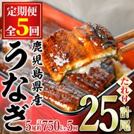 【150041】＜定期便・全5回＞東串良町のうなぎ蒲焼(無頭)(5尾・計約750g・タレ、山椒付×5回)うなぎ 高級 ウナギ 鰻 国産 蒲焼 蒲焼き たれ 鹿児島 ふるさと 人気【アクアおおすみ】