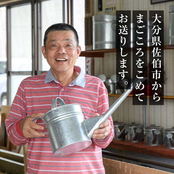 板金職人が作るトタンの保存缶 (幅約20cm×高さ約27cm・缶口約10cm) 保存缶 雑貨 日用品 金属加工 職人 手作り 手仕事 大分県 佐伯市 防災【FH03】【吉岡板金】