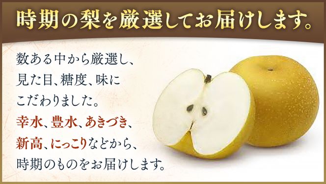 【化粧箱入り】梨 5kg（10〜14個）【2026年8月より発送開始】（茨城県共通返礼品 [梨]：大子町産）なし ナシ 果物 フルーツ 茨城県産 [BI466-NT]