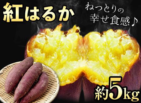紅はるか 約5kg[30日以内に出荷予定(土日祝除く)]熊本県 御船町 秋 旬 野菜 有限会社ニシムラ---mifune_nsm_3_5kg---