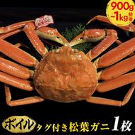 【ボイル】タグ付き松葉ガニ　特大1枚（900g～1kg前後）【着日指定不可】 ※2024年11月上旬～2025年3月下旬頃に順次発送予定《かに カニ 蟹》