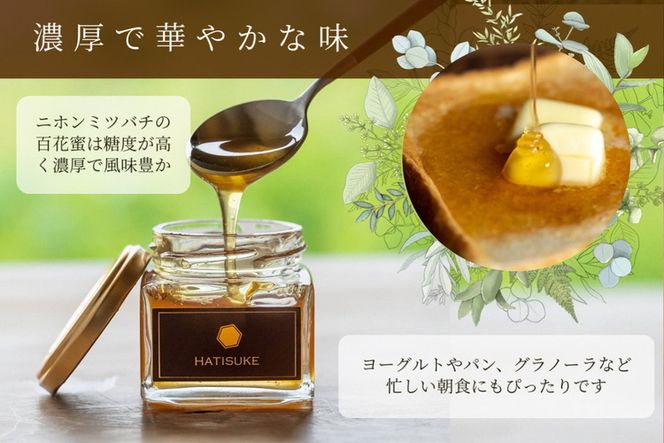 はちみつ【数量限定】京都産 生はちみつ 130g×3個セット 二ホン はちみつ【数量限定】京都産 生はちみつ 130g×3個セット 二ホン