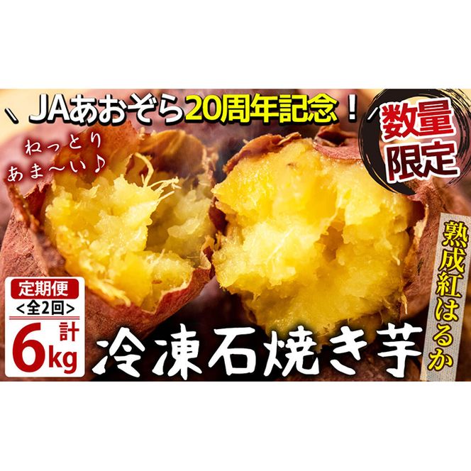 【定期便・全2回】鹿児島県産紅はるか石焼き芋 計6kg(1kg×3袋×2ヶ月) t002-6-001 