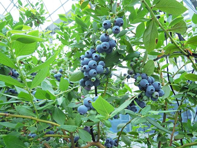 ymlzY(lY)嗱u[x[ w8pbNx@2026N5{`7{ɏ\