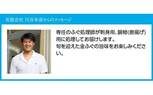 金ふぐ(シロサバフグ) 刺身・鍋・唐揚げ用セット【 国産 宮崎県産 魚 魚貝類 魚介類 河豚 フグ さしみ 唐揚げ 鍋 真空パック 】[C04407]