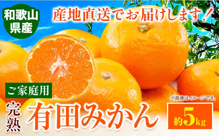 みかん ご 家庭用 完熟 有田みかん 約 5kg 有田マルシェ[11月上旬-1月中旬頃出荷予定] 和歌山県 日高町 みかん 有田みかん 柑橘 フルーツ 完熟 送料無料 訳あり みかん 蜜柑 ミカン 柑橘---wsh_arm12_a111_23_8000_5kg---