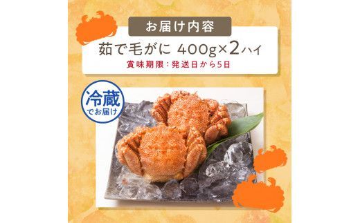 【予約：2026年3月下旬から順次発送】【旬の浜ゆで毛ガニを冷蔵便で】オホーツク海産 浜茹で海明け毛がに 約400g×2ハイ 冷蔵 ( かに 蟹 魚介類 海鮮 )【114-0029-2026】