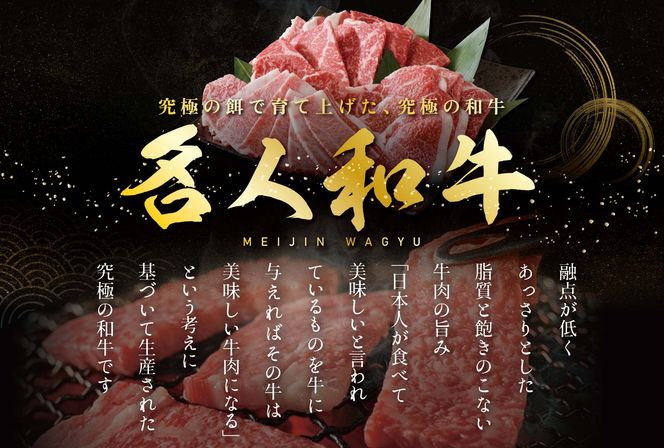 贅沢 ハンバーグ 150g×6個 北海道 別海町産 黒毛和牛「 名人和牛」 A5クラス 牛肉 100％ 使用 TB0000003