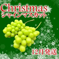 ＜2024年発送＞冬季限定！！ 山梨県笛吹市産 クリスマスシャインマスカット 約1.0kg 2～3房 105-020