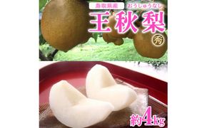 【先行予約】王秋梨　秀　約4kg（4～13玉前後）◇ ※2024年10月下旬～12月上旬頃に順次発送予定