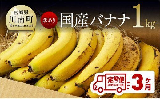 [訳あり]国産バナナ1kg 3ヶ月定期便 [F5803]