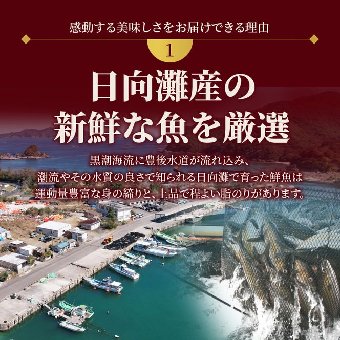 【日向灘どれ】延岡産活〆真鯛のお刺身　半身ロインパック×2（1尾分）約400g～500g　N019-ZA572