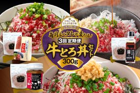 【3回定期便】毎月付属のタレが変わる！牛とろ丼セット300g_S006-0057