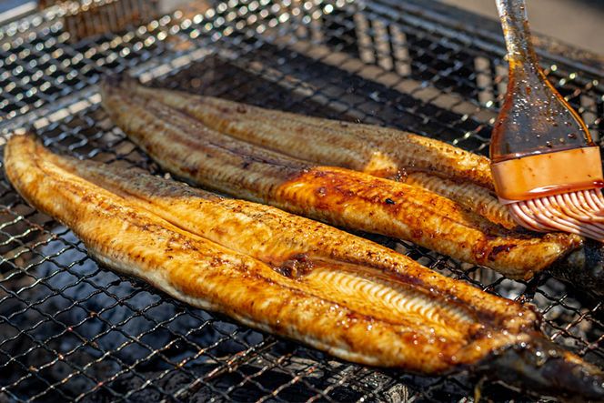 AF115【国産・数量限定】職人の本格炭火手焼きうなぎ2尾約300g【随時発送】