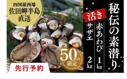 【先行予約】【数量限定】佐田岬海士のあわび・さざえセットA 計3kg 【4/15～10/31の漁解禁日に合わせて発送】 ※北海道・東北地方・沖縄・離島への配送不可 ※2024年4月下旬～11月上旬頃に順次発送予定