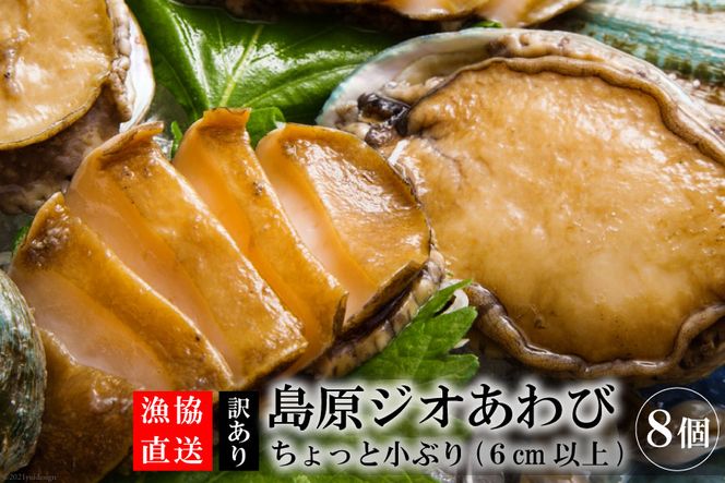 y茧szAF030y󂠂zIWI 8iƏԂF6cmȏj