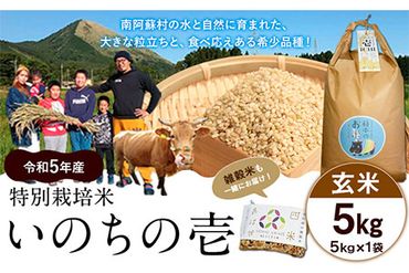 令和5年産 特別栽培米 いのちの壱(玄米)5kg×1 雑穀米付き《90日以内に出荷予定(土日祝を除く)》 熊本県 南阿蘇村 熊本県産 虹色のかば 雑穀米---sms_nnktmiig5_90d_22_13000_5kg---