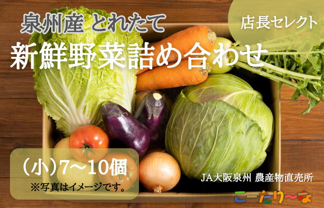 005A178 直売所店長セレクト季節の野菜セット（小）