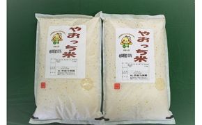 197.【令和6年産米】岐阜県産オリジナルブレンド米「やおっち米」10kg　