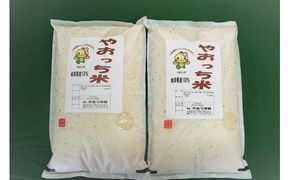 197.【令和6年産新米】岐阜県産オリジナルブレンド米「やおっち米」10kg　