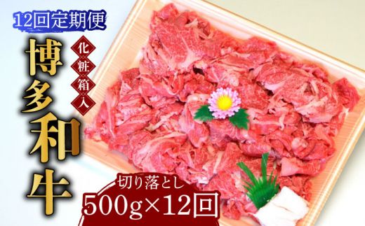 yz㒬zyS12ցzyϔzaA5?A4 ؂藎Ƃ 500gsz㒬tyЃ}܁z[ABCJ113]