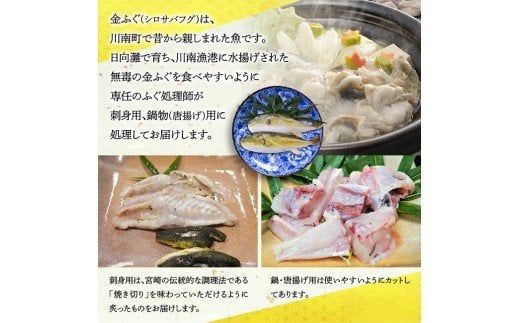 金ふぐ(シロサバフグ) 刺身・鍋・唐揚げ用セット【 国産 宮崎県産 魚 魚貝類 魚介類 河豚 フグ さしみ 唐揚げ 鍋 真空パック 】[C04407]