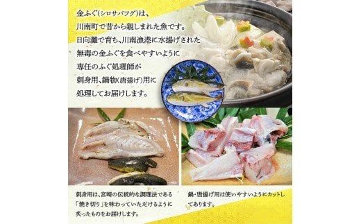 金ふぐ(シロサバフグ) 刺身・鍋・唐揚げ用セット【 国産 宮崎県産 魚 魚貝類 魚介類 河豚 フグ さしみ 唐揚げ 鍋 真空パック 】[D04404]