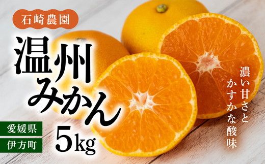 【先行予約】【数量限定】温州みかん5kg【石崎農園】｜柑橘 みかん 温州みかん ミカン 蜜柑 果物 フルーツ 愛媛県産 ※離島への配送不可 ※2024年12月頃より順次発送予定