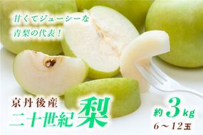 【先行予約】甘～ぃ！ジューシー！！青梨の王様 京丹後産 二十世紀梨3kg（6～12玉）（2025年9月上旬～発送）　YK00291