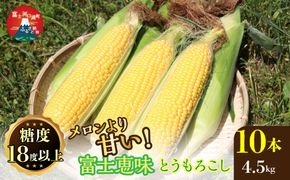 ＜25年発送先行予約＞メロンより甘い！生で美味しいとうもろこし富士恵味１０本セット 惠味ゴールド スイートコーン FAH003