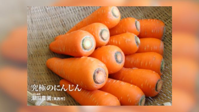 人参物語 まるごと 100％ にんじん ジュース 72本入り 野菜 ジュース [AN002ci]