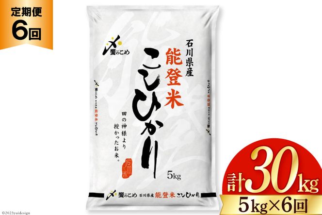 米 定期便 能登米 こしひかり 5kg ×6回 総計 30kg 精米 [中橋商事 石川県 宝達志水町 38601130] 能登 コシヒカリ お米 コメ 6ヶ月 6か月 5キロ 30キロ 白米 おこめ こめ