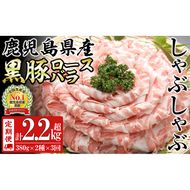 【定期便全3回】鹿児島県産黒豚＜ロース・バラ＞(計2.28kg/380g×2P×3回) t0045-008