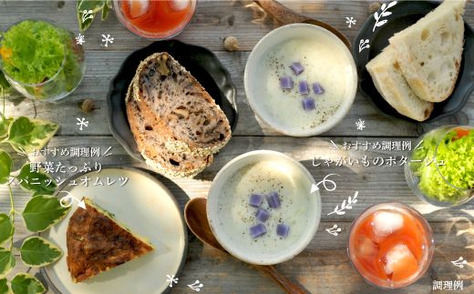 《令和8年分》数量限定！季節のお野菜詰め合わせ 秋(配送時期：9月～10月)【01018】