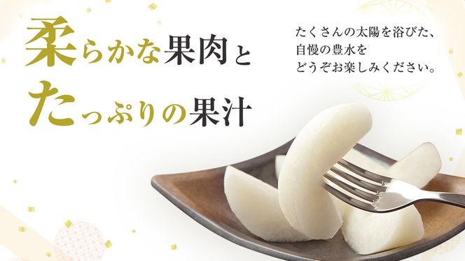 【 2025年8月下旬発送開始 】 茨城県産 梨 豊水 （約 5kg ） 10～16玉  梨 なし 和梨 日本梨 果物 フルーツ 新鮮 旬 期間限定 国産 先行予約[CL002us]